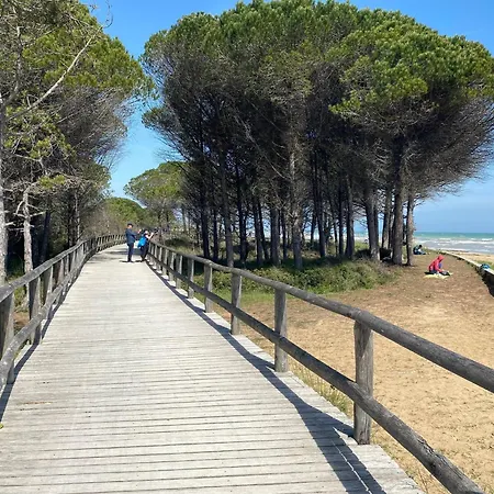 Close To The Sea And The Apartment